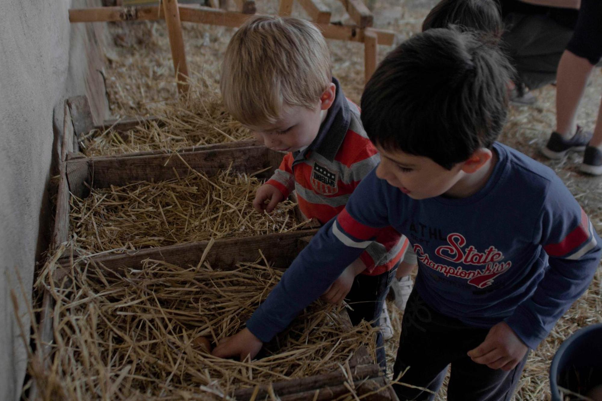 Hotel Ecologic Vinyols Camp Vinyols i Els Arcs Zewnętrze zdjęcie